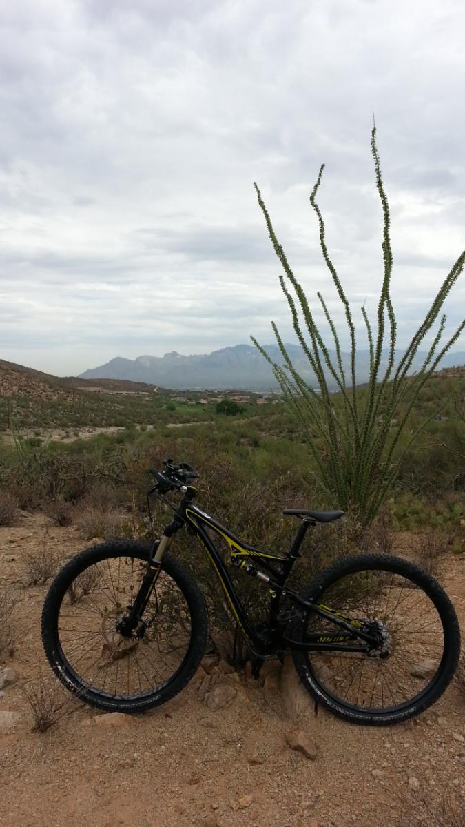 Specialized Camber Comp 29: Mountain bike parked on a dirt trail with desert vegetation and mountains in the background under a cloudy sky.