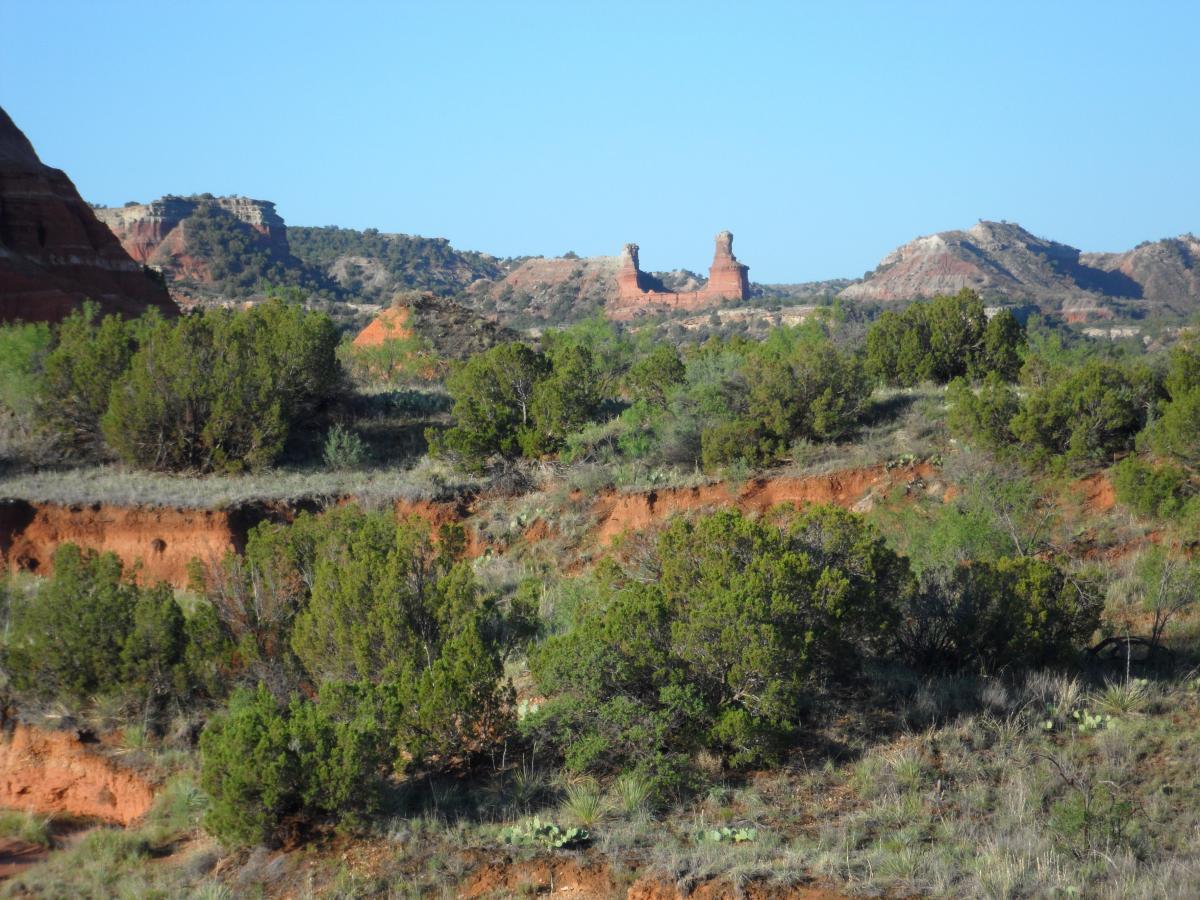A scenic view of a rugged landscape featuring bright red earth, green shrubs, and distant rock formations. The clear blue sky contrasts with the natural hues of the terrain, creating an expansive and serene atmosphere. Palo Duro Canyon mountain bike trail.