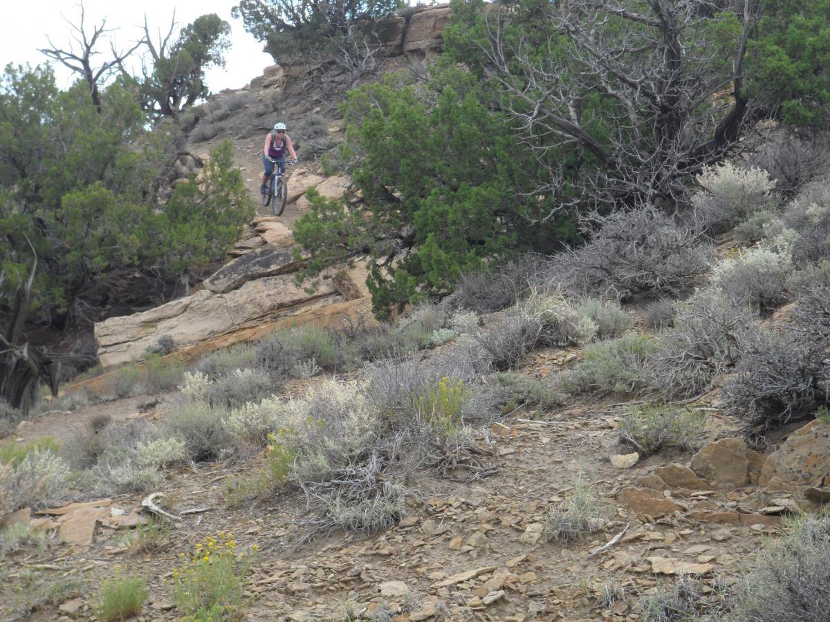 A mountain biker navigating a rocky trail surrounded by shrubs and trees on a hillside. The terrain features a mix of rocky outcrops and sparse vegetation, illustrating an outdoor adventure setting. High Desert Trail System mountain bike trail.