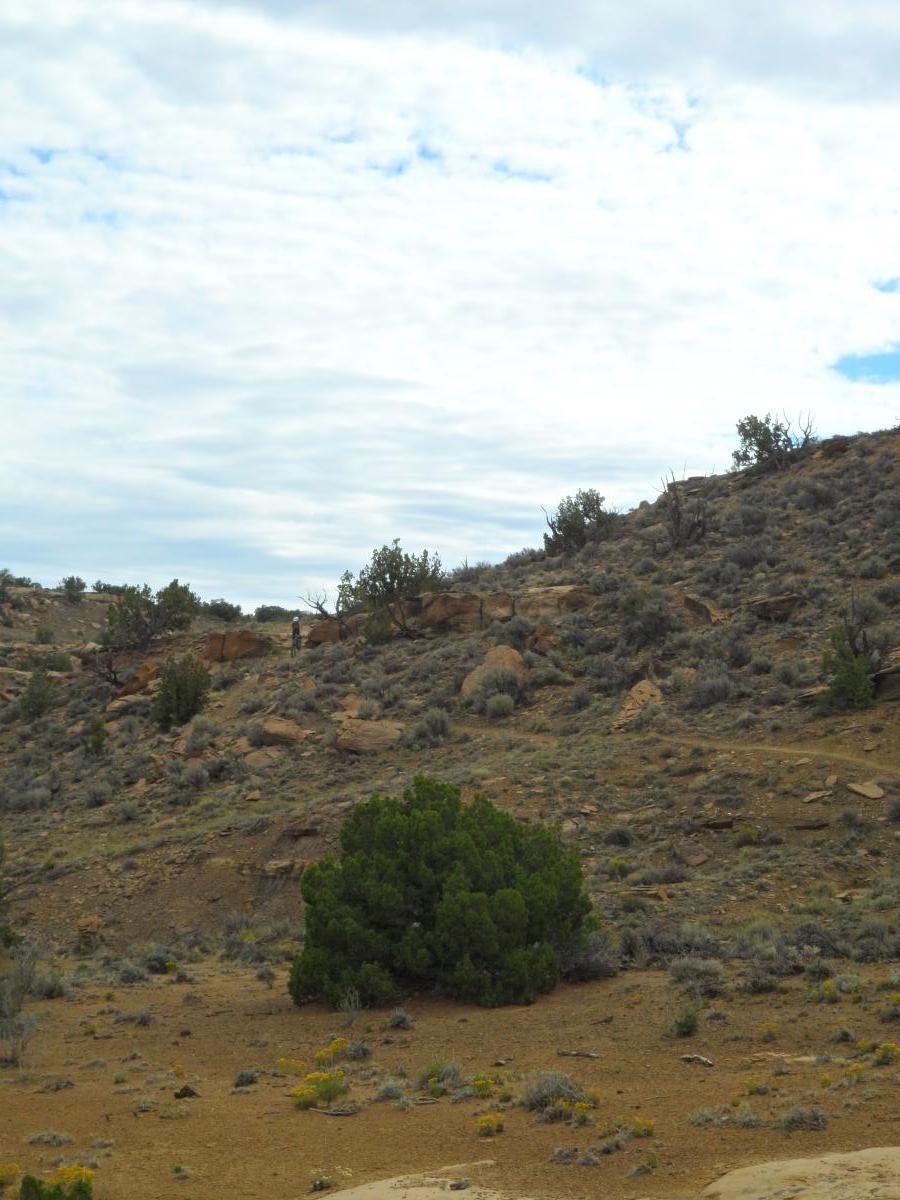 A dry, rugged landscape featuring a rolling hillside with sparse vegetation and a prominent green bush in the foreground. The sky is partly cloudy, creating a soft, diffused light over the scene. The terrain includes rocky outcrops and scattered shrubs typical of arid environments. High Desert Trail System mountain bike trail.