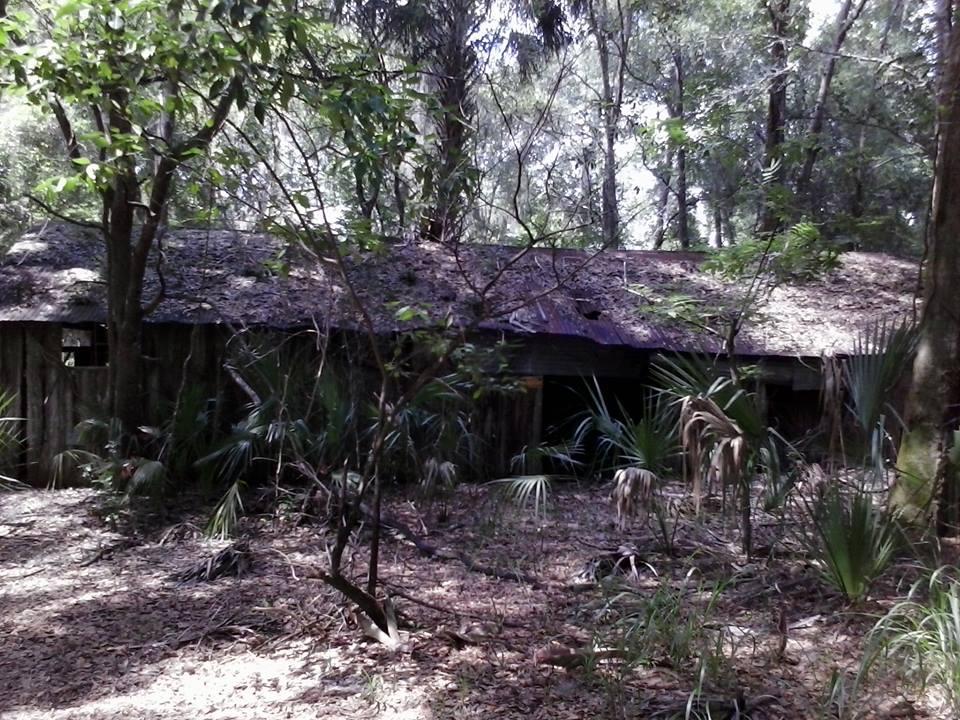 An abandoned wooden structure with a weathered roof is partially hidden among lush green vegetation and trees. Sunlight filters through the leaves, casting soft shadows on the ground covered with dry leaves and low shrubs. Blue Springs State Park mountain bike trail.