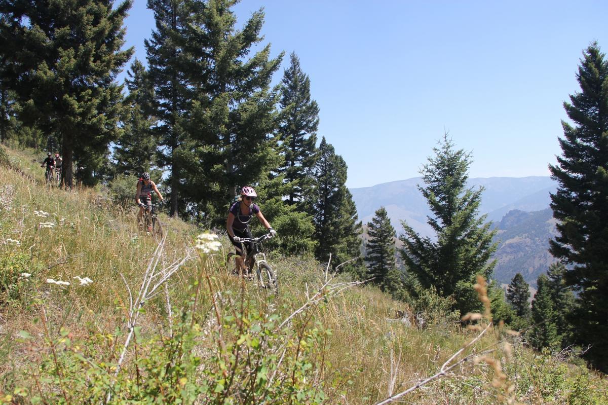 A mountain biker navigating a grassy trail surrounded by trees and mountains on a sunny day. Thunder Mountain Historic Trail mountain bike trail.