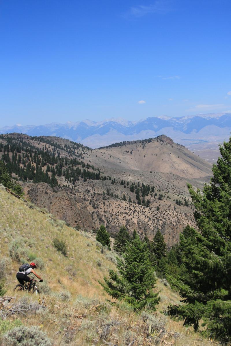 A mountain biker navigates a scenic trail on a rocky hillside, surrounded by green shrubs and conifer trees, with expansive mountain ranges and a clear blue sky in the background. Henry Creek Trail mountain bike trail.