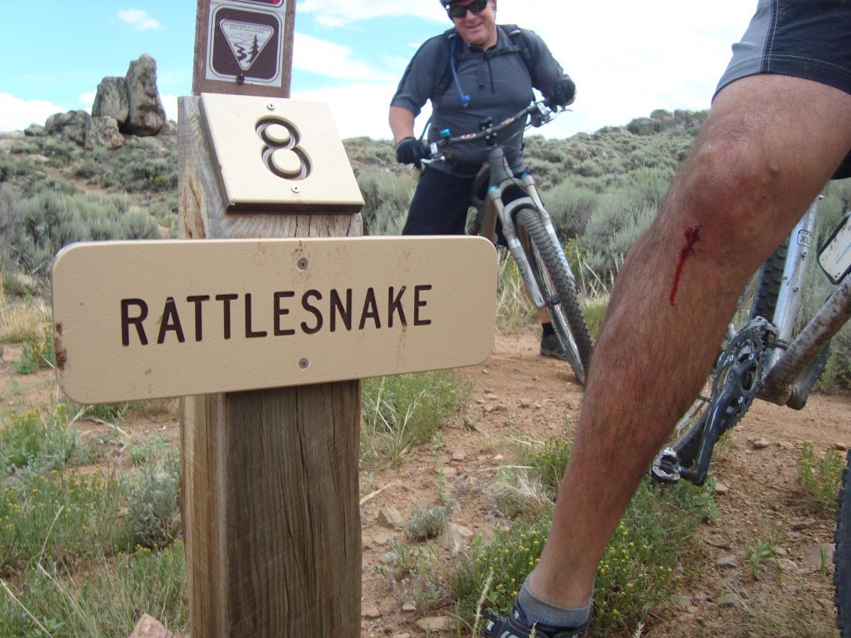 A mountain biking trail sign labeled "Rattlesnake" with the number 8, featuring a mountain biker in the background and a close-up of another rider's leg with a minor scrape and blood visible. The surrounding landscape includes shrubs and rocky formations under a partly cloudy sky. Hartman Rocks mountain bike trail.