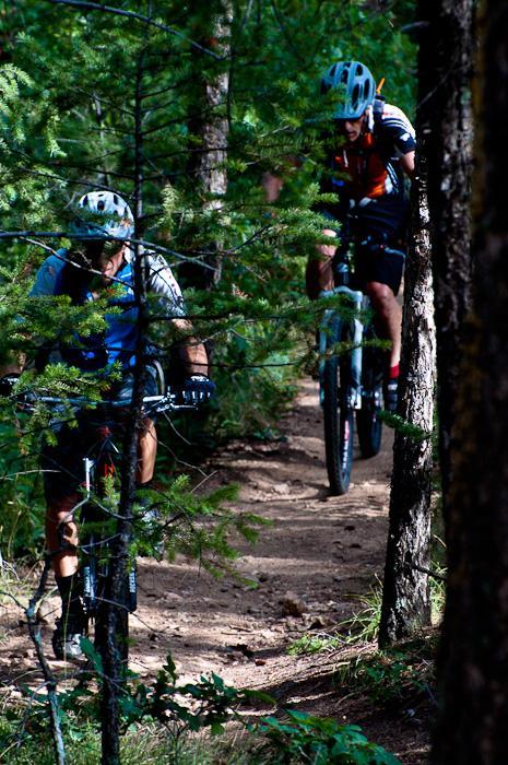 Two mountain bikers navigating a dirt trail surrounded by trees in a forested area. One biker is partially obscured by foliage, while the other rides slightly ahead. The scene is illuminated by dappled sunlight filtering through the leaves. Waterton Canyon mountain bike trail.
