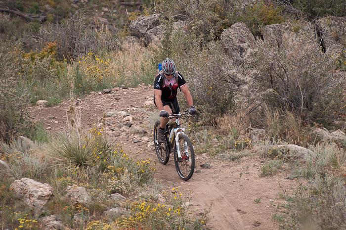 A mountain biker navigating a rocky trail surrounded by greenery and wildflowers. The cyclist is wearing a helmet and a cycling outfit, focused on maneuvering the terrain. Centennial Cone Park mountain bike trail.