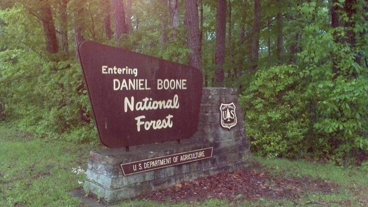 Sign welcoming visitors to Daniel Boone National Forest, featuring the text "Entering Daniel Boone National Forest" and the emblem of the U.S. Department of Agriculture. Surrounding the sign are lush green trees and vegetation. Sheltowee Trace - Laurel Lake Trail mountain bike trail.