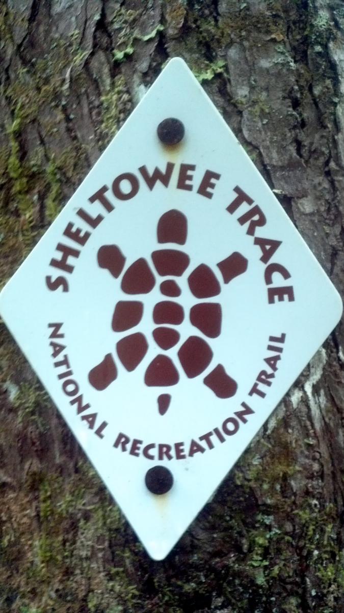 A trail marker for the Sheltowee Trace National Recreation Trail, featuring a turtle graphic and text indicating the trail name, mounted on a tree trunk. Sheltowee Trace - Laurel Lake Trail mountain bike trail.