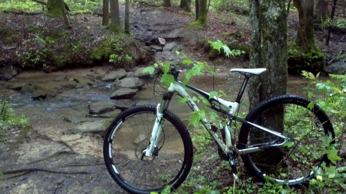 A mountain bike resting beside a small creek in a wooded area, surrounded by lush greenery and moss-covered rocks. Sheltowee Trace - Laurel Lake Trail mountain bike trail.