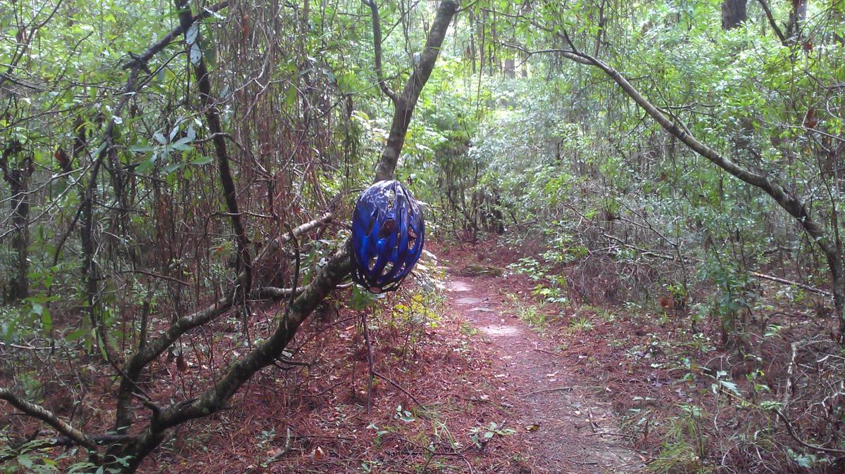 A blue bicycle helmet hanging from a tree branch along a narrow path in a dense, green forest. The ground is covered with pine needles and the surroundings are filled with various plants and trees. Lake Overstreet mountain bike trail.
