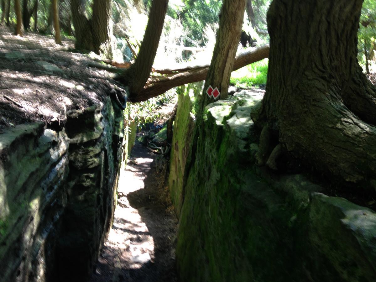 A narrow path between moss-covered rock formations in a wooded area, with trees growing alongside and overhead, creating dappled sunlight on the ground. Coopers Rock mountain bike trail.