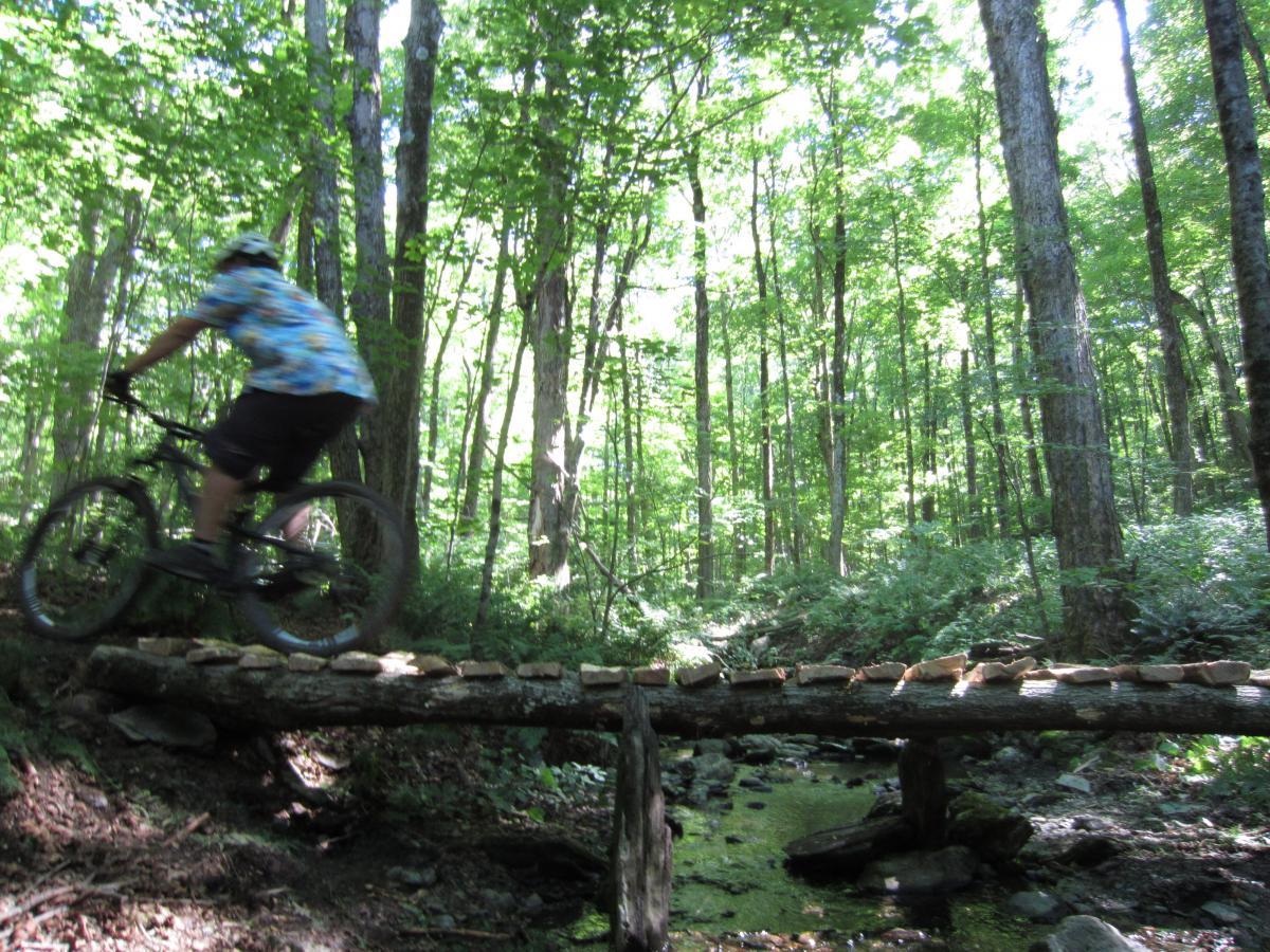 A mountain biker dressed in a colorful floral shirt rides across a narrow wooden bridge over a small stream in a lush green forest. The sunlight filters through the trees, creating a bright and vibrant atmosphere. Gimme Shelter mountain bike trail.
