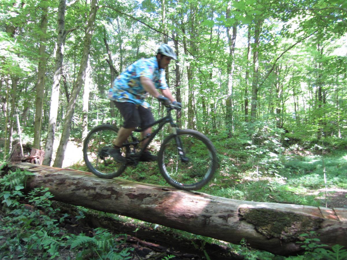 A mountain biker in a colorful shirt rides across a fallen log in a lush, green forest. Sunlight filters through the trees, highlighting the vibrant greenery and the texture of the log. Beebe Hill State Forest mountain bike trail.