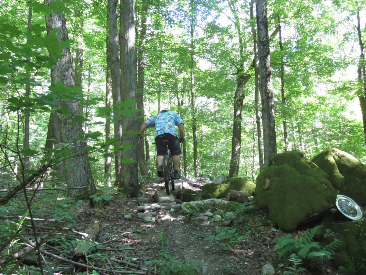 A person riding a mountain bike on a rocky trail surrounded by lush green trees in a forest. The cyclist is wearing a colorful Hawaiian shirt, and the path features moss-covered rocks. Sunlight filters through the foliage, illuminating the scene. Beebe Hill State Forest mountain bike trail.
