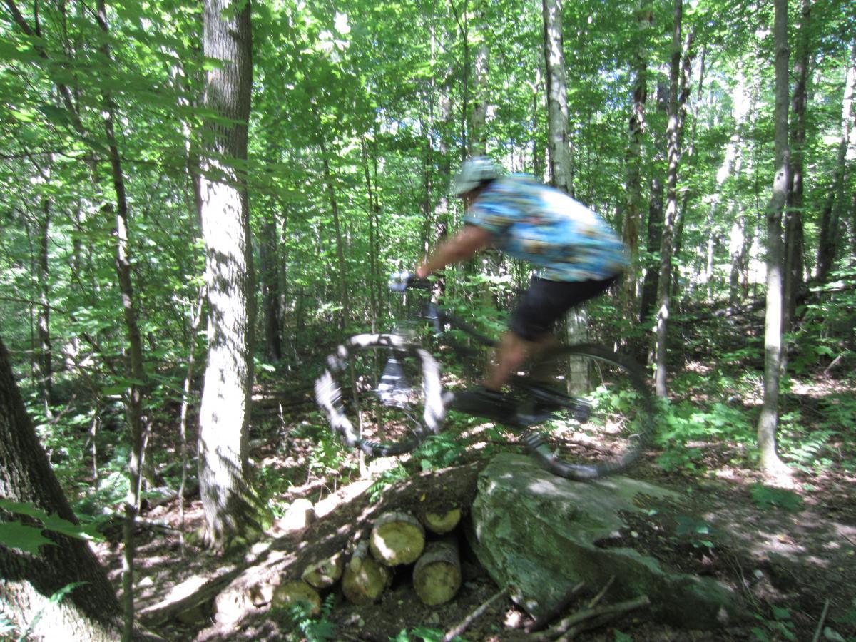 A person in a colorful shirt riding a mountain bike over a rocky obstacle in a dense, green forest. Sunlight filters through the trees, creating dappled shadows on the ground as the cyclist navigates the trail. Beebe Hill State Forest mountain bike trail.