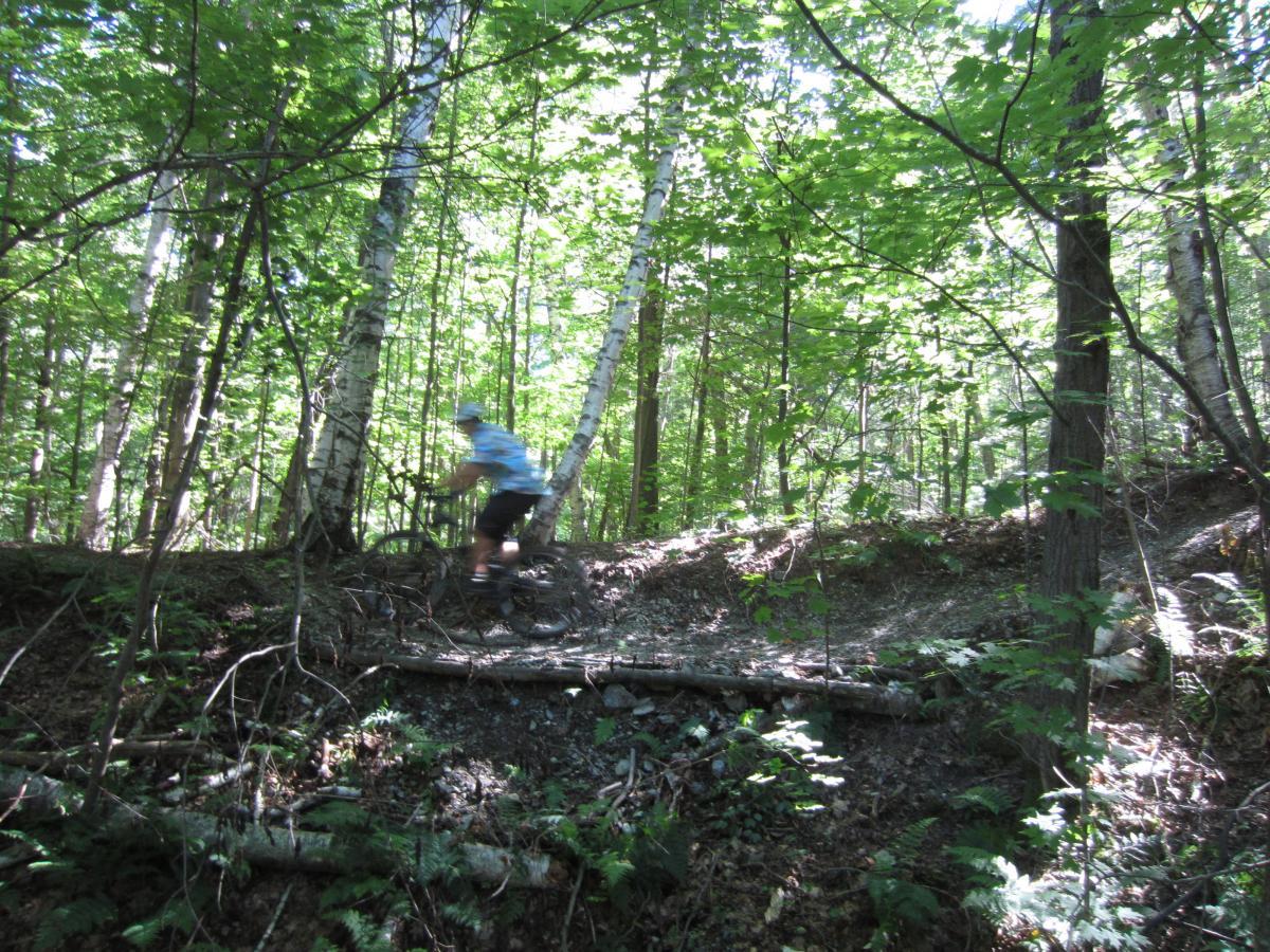 A blurred image of a person riding a mountain bike along a narrow, wooded trail. Surrounding the trail are tall trees with lush green leaves, creating a vibrant forest setting. Sunlight filters through the canopy, illuminating the pathway and foliage. Beebe Hill State Forest mountain bike trail.