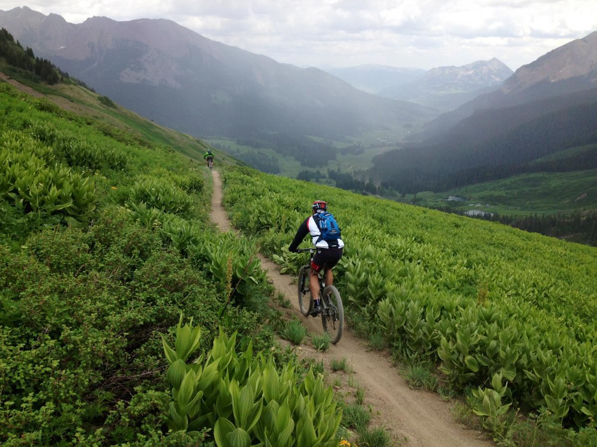 Mountain bikers riding along a dirt trail through a lush green landscape with tall plants, against a backdrop of rolling hills and distant mountains under a cloudy sky. Trail 401 mountain bike trail.