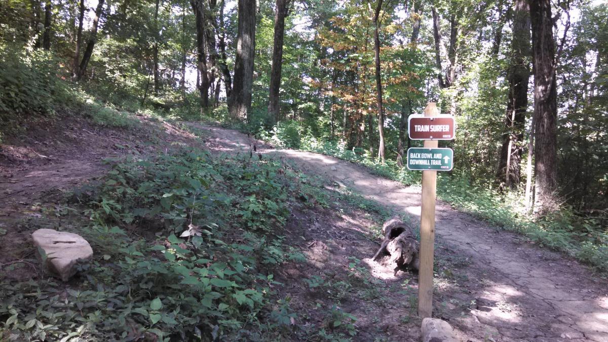 A dirt trail dividing through a wooded area, featuring a signpost indicating two trail options: "Train Surfer" and "Back Bowl and Downhill Trail." The surrounding area is lush with green vegetation and trees. Devou Park mountain bike trail.
