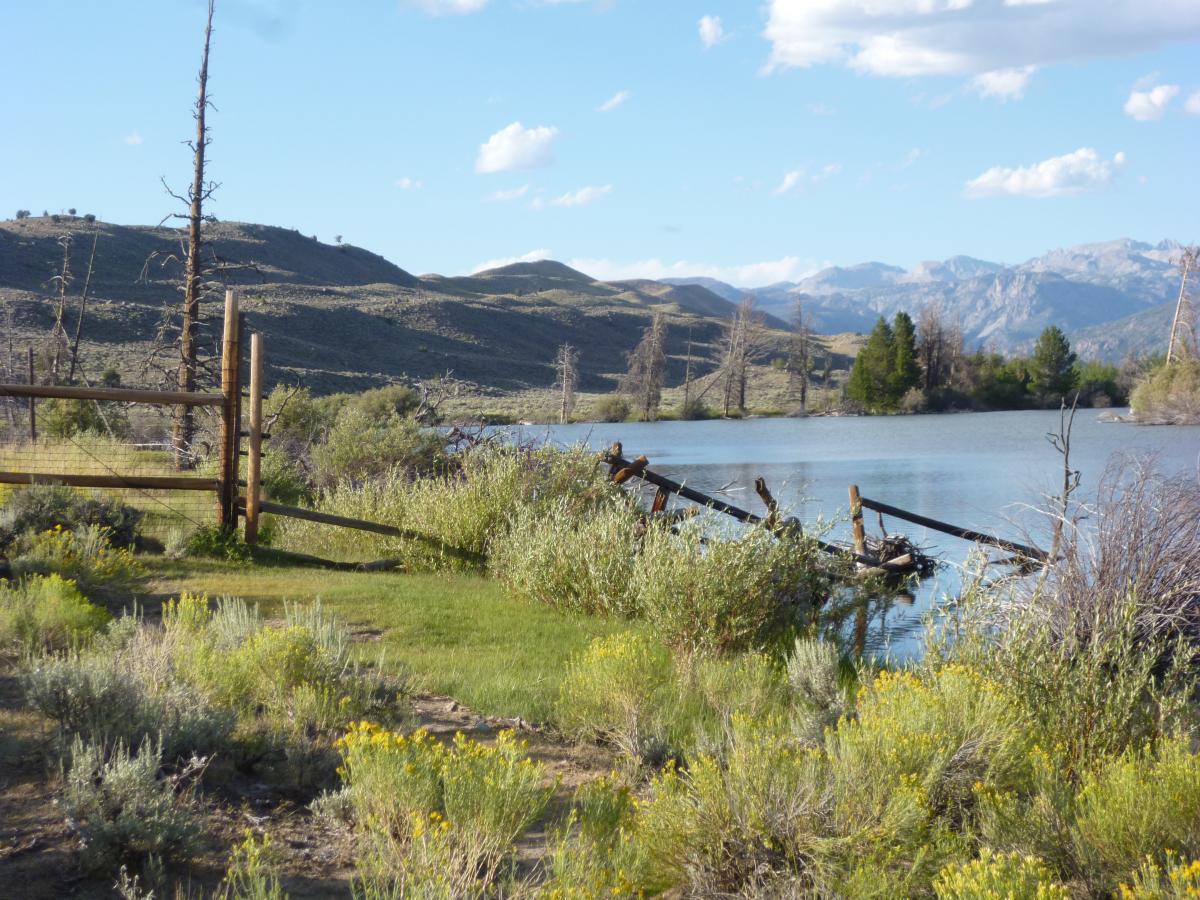 A serene landscape featuring a calm lake surrounded by rolling hills and mountains in the background. In the foreground, there is a wooden fence and lush greenery, including wildflowers and shrubs. Remnants of an old structure are visible in the water, adding a rustic touch to the natural scene. The sky is partly cloudy, contributing to the tranquil atmosphere. West Fremont Lake mountain bike trail.