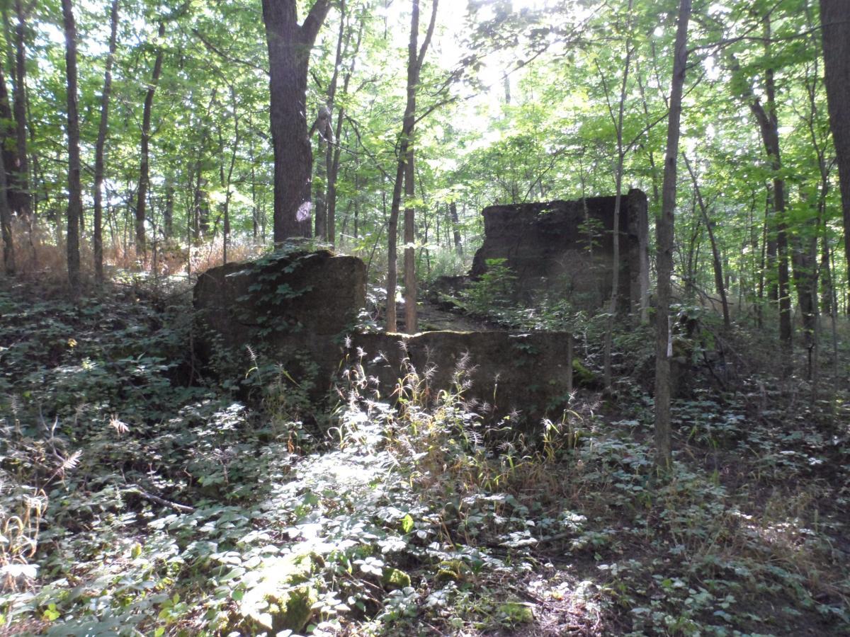 Ruins of stone structures partially covered by vegetation in a sunlit forest setting, surrounded by trees and undergrowth. Fort Custer Recreation Area mountain bike trail.