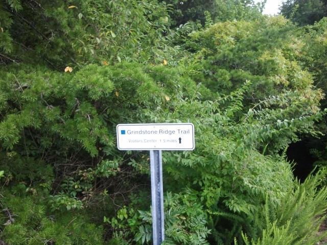 Sign for Grindstone Ridge Trail, located amidst lush greenery, indicating the direction to the Visitor Center, 1 mile ahead. Raccoon Mountain Trail Network mountain bike trail.
