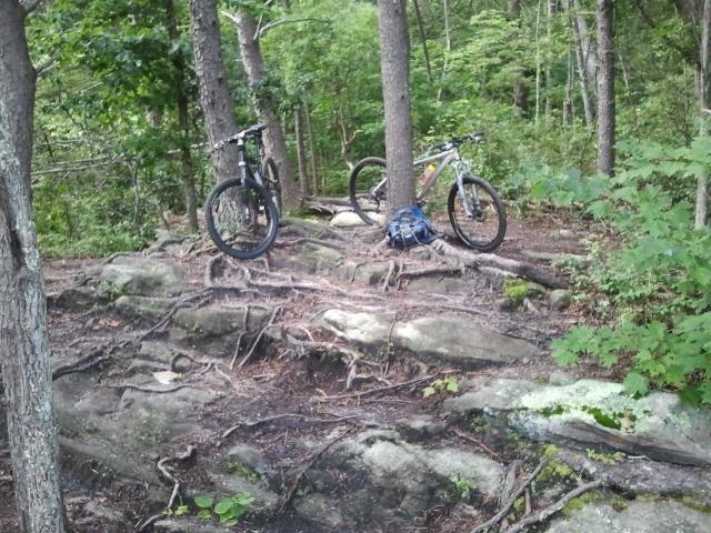 Two mountain bikes are resting on a rocky, forested trail. The bikes are positioned near trees, surrounded by greenery and roots. The ground is covered in dirt, rocks, and some moss, indicating a natural outdoor setting ideal for biking. Raccoon Mountain Trail Network mountain bike trail.