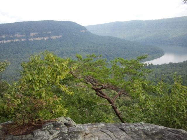 A panoramic view of a lush green valley with a river meandering through it, framed by distant mountains and a cloudy sky. A rocky outcrop and a few trees are in the foreground, highlighting the natural landscape. Raccoon Mountain Trail Network mountain bike trail.