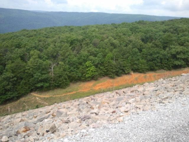 A scenic view from the top of a rocky slope overlooking a lush green hillside and forested area, with a dirt path winding through the trees. The sky is partly cloudy, and the horizon displays rolling mountains in the distance. Raccoon Mountain Trail Network mountain bike trail.