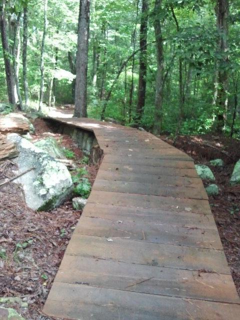 Wooden boardwalk winding through a lush green forest, surrounded by trees and rocks, with dappled sunlight filtering through the leaves. DeSoto State Park mountain bike trail.