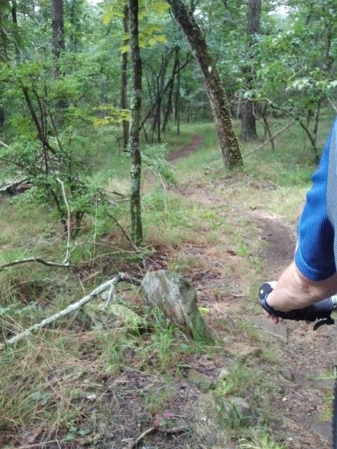 A view of a forested trail winding through greenery, with a rock and a person's hand gripping a bicycle handlebar in the foreground. The trail is surrounded by tall trees and underbrush, indicating a natural outdoor setting. DeSoto State Park mountain bike trail.