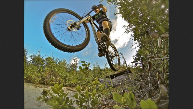 A cyclist performing a jump on a mountain bike over a log, surrounded by greenery and blue sky. The image captures the dynamic motion of the bike and rider, showcasing an adventurous outdoor scene. Jonathan Dickinson State Park mountain bike trail.