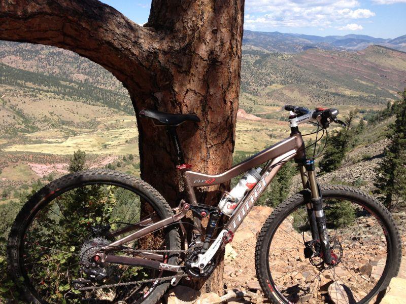 A mountain bike leaning against a large tree on a hillside, with a scenic view of rolling hills and valleys in the background under a partly cloudy sky. Heil Valley Ranch mountain bike trail.