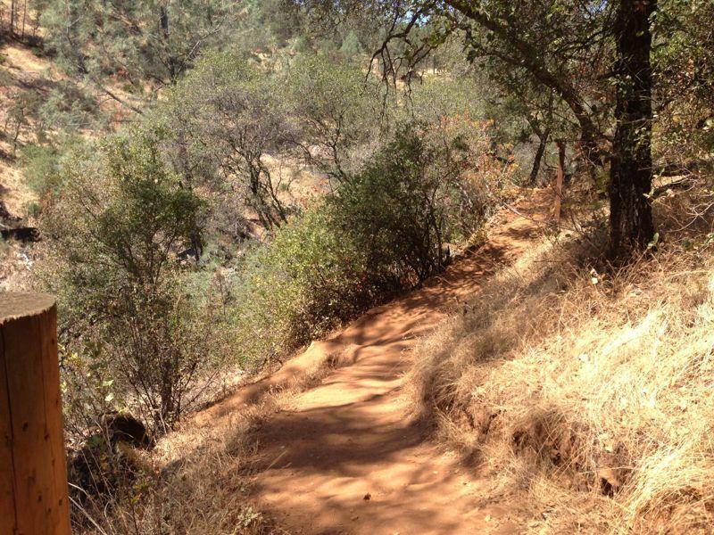 A winding dirt trail surrounded by greenery and dry grass, leading through a forested area with scattered trees and shrubs. Hidden Falls Regional Park mountain bike trail.