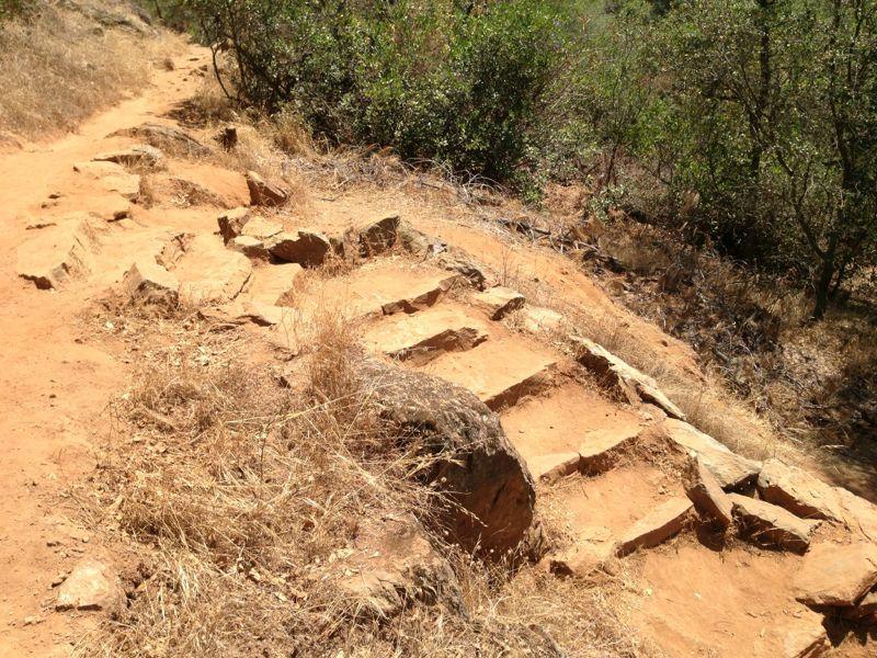 A trail with rocky steps leading uphill, surrounded by dry grass and sparse vegetation. The path is surrounded by low bushes and trees, indicating a natural outdoor setting. Hidden Falls Regional Park mountain bike trail.
