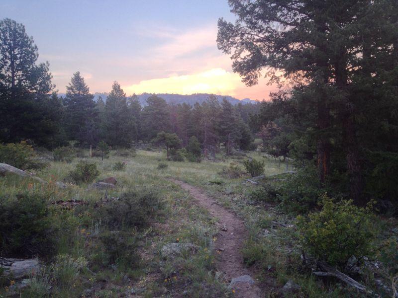 A scenic view of a forested area at sunset, featuring a winding dirt path leading through lush green grass and scattered rocks. Tall trees surround the path, with a backdrop of distant mountains illuminated by soft, warm hues from the setting sun. Lion Gulch mountain bike trail.