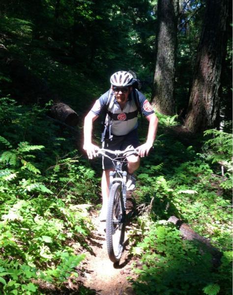 A mountain biker navigating a narrow trail in a lush green forest, wearing a helmet and a cycling jersey, with trees and ferns surrounding the path. Alpine Trail mountain bike trail.