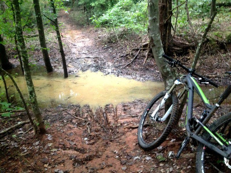 A muddy bike trail in a forested area, featuring a puddle of water blocking part of the path. A mountain bike is positioned to the right, resting on the ground amid fallen leaves and surrounding trees. Paynes Creek mountain bike trail.