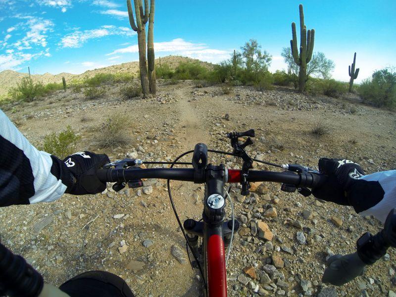Alt text: "View from the handlebars of a mountain bike on a rocky desert trail, with saguaro cacti and distant hills under a blue sky with scattered clouds." Casa Grande Mountain mountain bike trail.
