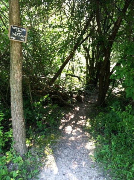A narrow, partially shaded dirt path leading into a dense thicket of trees and bushes, with a wooden sign on the left indicating "MORTON - WEST Loop" and an arrow pointing the way. Sunlight filters through the foliage, creating a natural, inviting atmosphere. Morton-Taylor Trail mountain bike trail.
