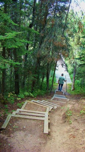 A person walking down a wooden staircase along a forested path, surrounded by dense trees and greenery, leading towards a road in the distance. The scene captures a peaceful outdoor setting. Sir Winston Churchill Park mountain bike trail.