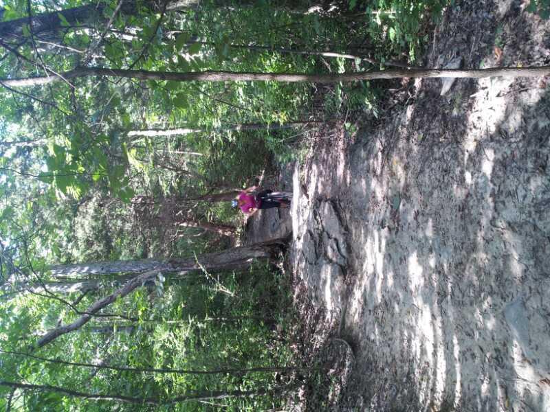 A person in a pink shirt stands on a rocky path surrounded by lush green trees and foliage in a wooded area. Sunlight filters through the leaves, creating dappled shadows on the ground. Landahl Park Reserve mountain bike trail.