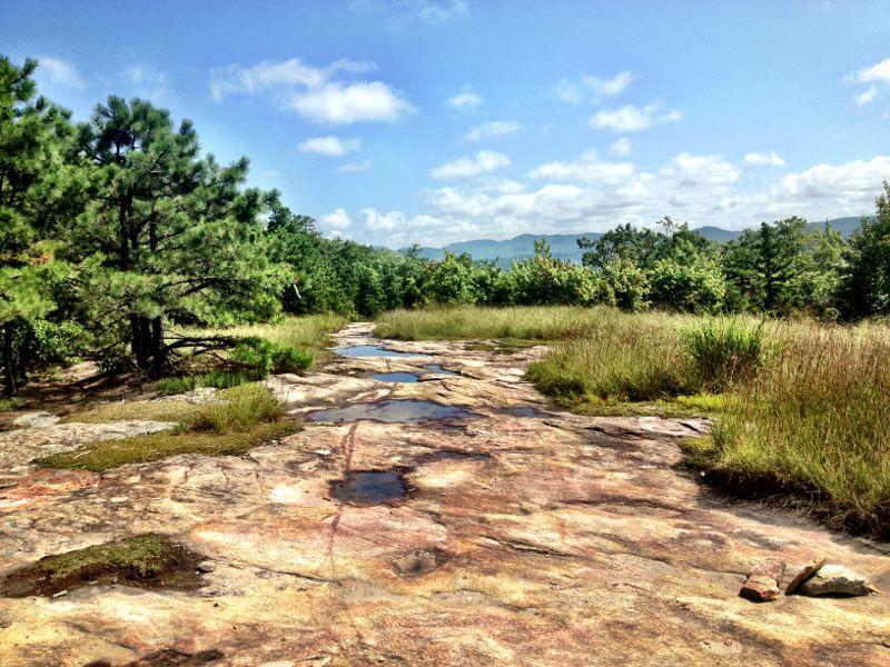A rocky landscape dotted with patches of grass and small trees, under a blue sky with scattered clouds. A wet area with small puddles is visible on the rocky surface, leading into a background of lush greenery and distant mountains. DuPont State Recreational Forest mountain bike trail.