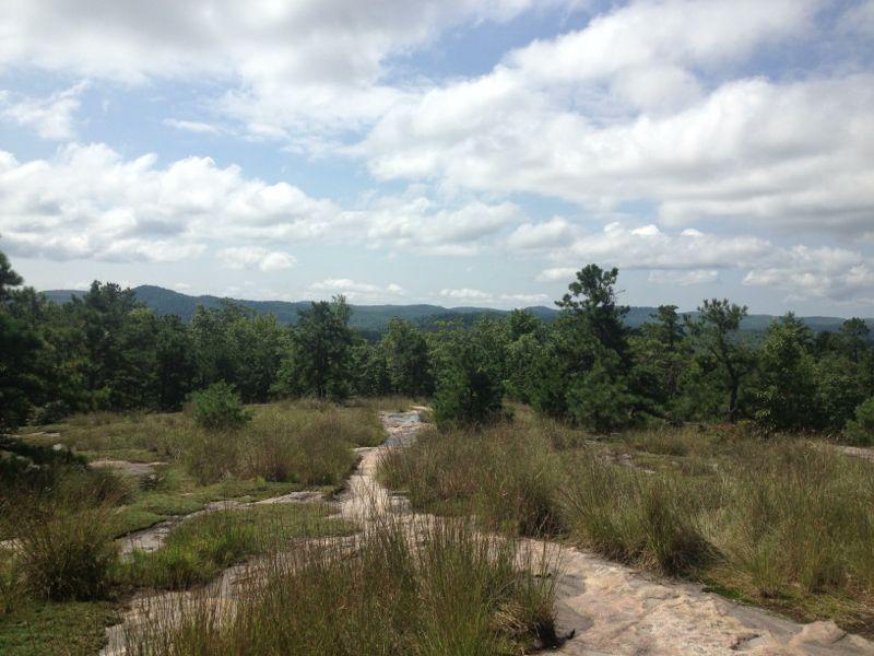 A panoramic view of rolling hills and dense green forests under a partly cloudy sky, with a rocky path leading through tall grass and scattered rocks in the foreground. The landscape stretches into the distance, showcasing the natural beauty of the area. DuPont State Recreational Forest mountain bike trail.