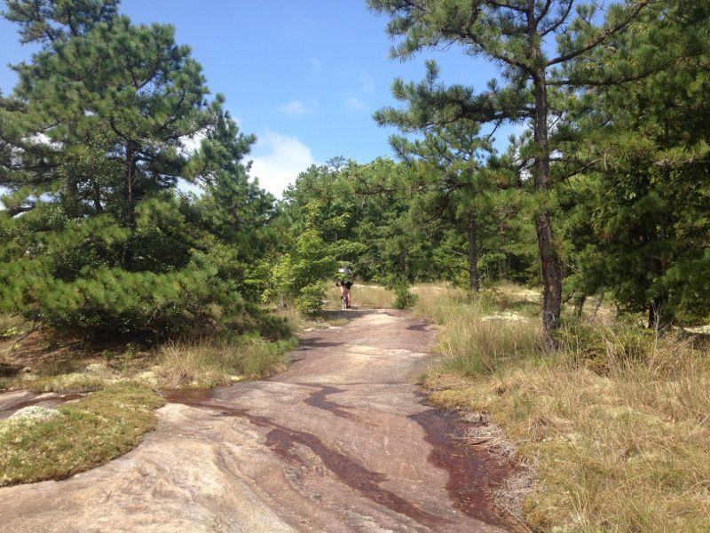 A serene outdoor scene featuring a winding trail surrounded by lush green pine trees. The path is made of smooth, reddish rock and is bordered by tall grasses. In the distance, a person can be seen walking along the trail under a partly cloudy sky. Cedar Rock Trail #16 mountain bike trail.