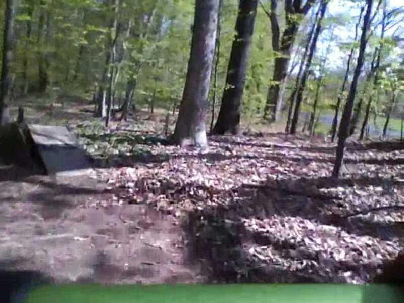 A forest scene with tall trees and patches of sunlight filtering through the leaves. The ground is covered in a layer of dry leaves and soil, with a small wooden structure visible in the foreground. The background features more trees and greenery, suggesting a peaceful natural environment. Core Creek Park mountain bike trail.