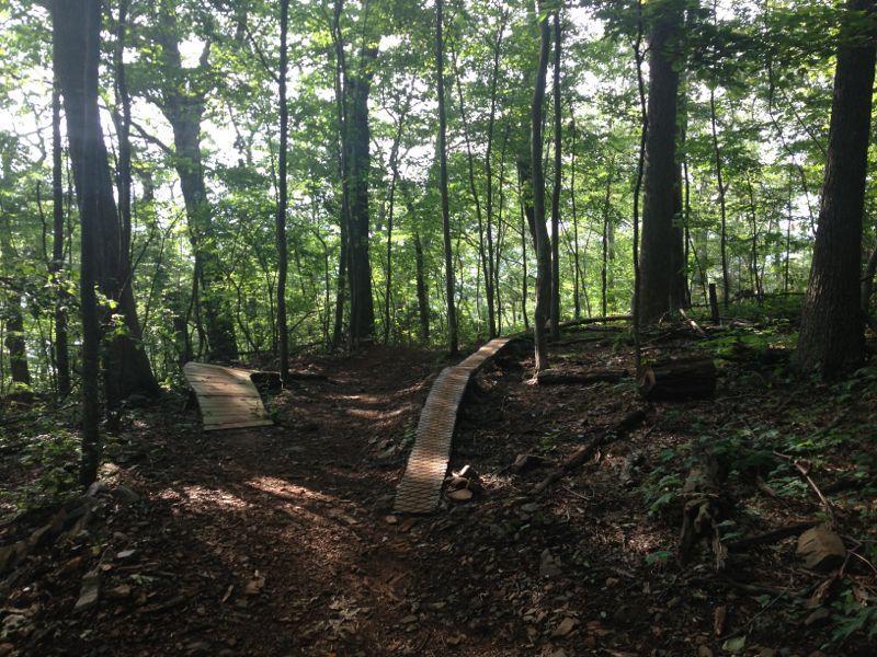 A wooded trail in a forest, featuring two paths diverging ahead. One path is lined with wooden planks, while the other is a natural dirt trail, surrounded by lush green trees and dappled sunlight filtering through the leaves. Rocky Knob Park mountain bike trail.