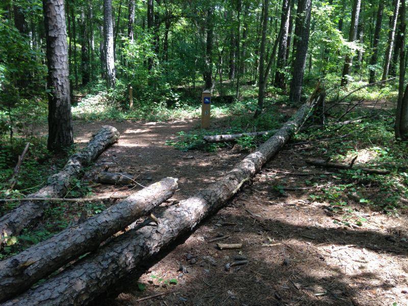 A wooded area with a dirt path leading into the forest. Several fallen tree logs are obstructing the path, and a wooden trail marker stands to the right, indicating the direction to follow. The scene is dotted with lush green foliage and tall trees, creating a serene natural environment. Yellow River mountain bike trail.