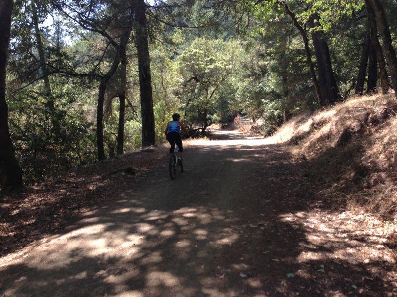 A person riding a bicycle on a dirt trail surrounded by trees and greenery, with sunlight filtering through the leaves. Annadel State Park mountain bike trail.