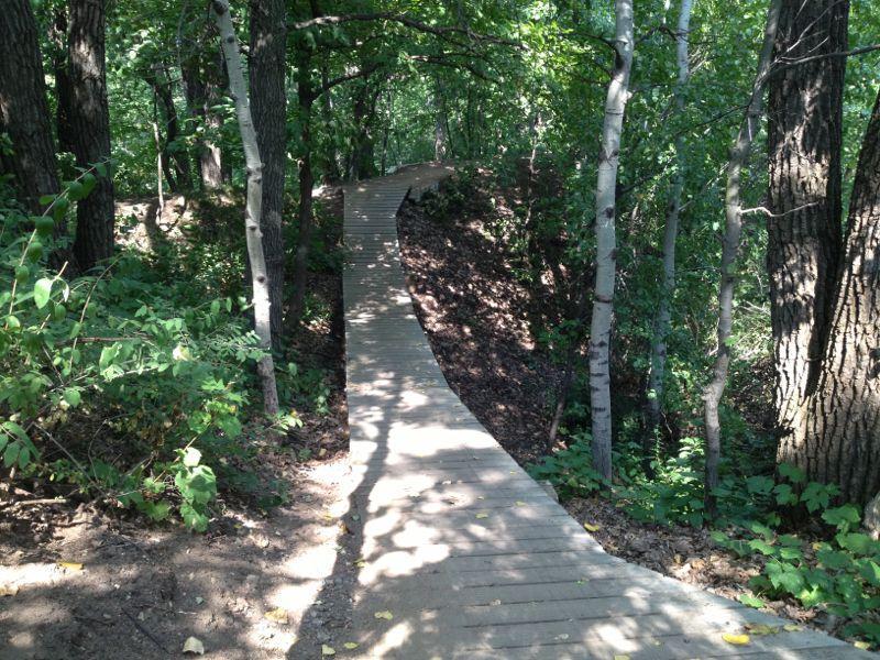 A wooden pathway winding through a dense forest, surrounded by greenery and tall trees, with dappled sunlight filtering through the leaves. Carver Lake Park mountain bike trail.