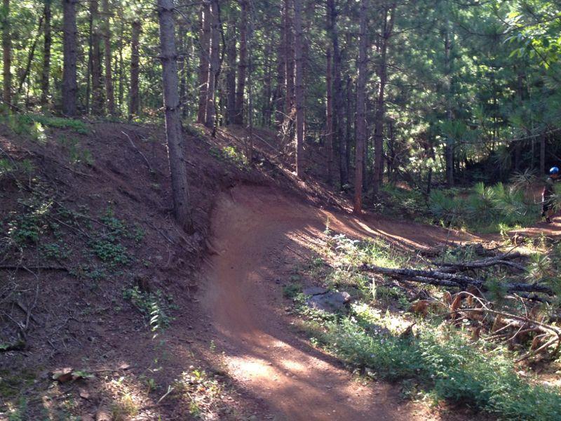 A winding dirt trail through a dense forest, surrounded by tall pine trees and patches of green foliage. Sunlight filters through the trees, illuminating the path and creating a serene outdoor setting. Cuyuna Lakes mountain bike trail.